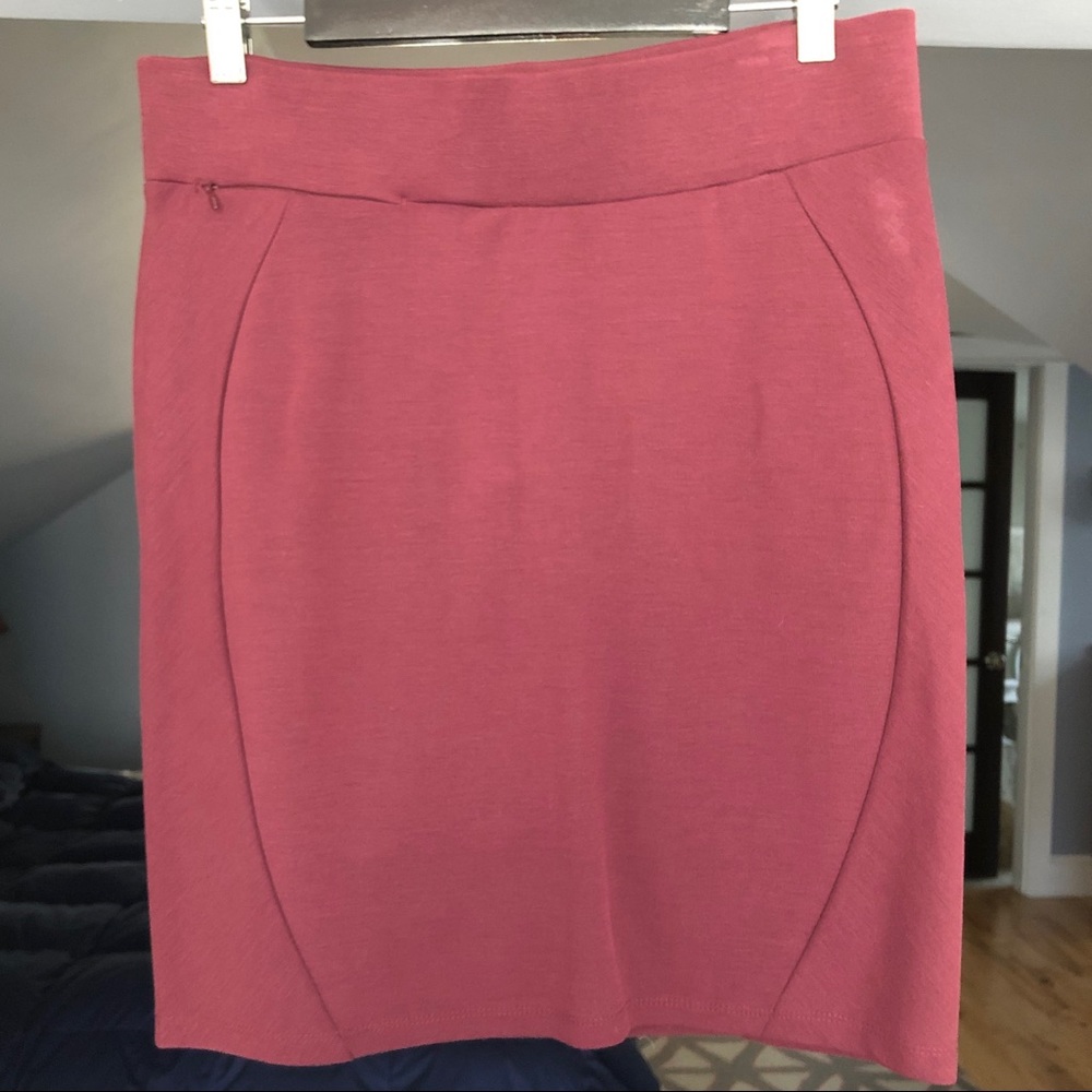 Toad & Co Fitted Skirt